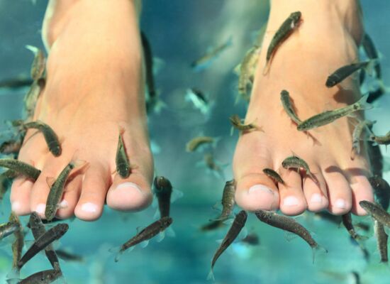 Menschliche Füße in Wasser und unzählige Fische knabbern an ihnen