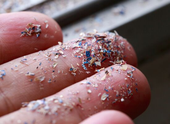 Nahaufnahme von Fingern, auf denen Mikroplastik gezeigt wird