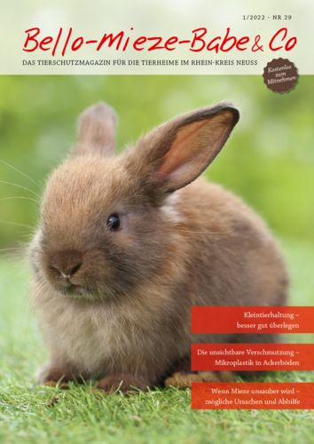 Magazin Titelbild mit Kaninchen